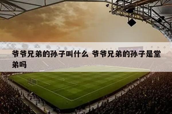 爷爷兄弟的孙子叫什么 爷爷兄弟的孙子是堂弟吗
