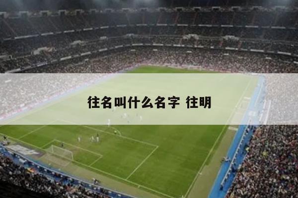 往名叫什么名字 往明