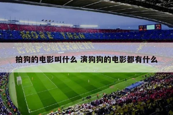 拍狗的电影叫什么 演狗狗的电影都有什么