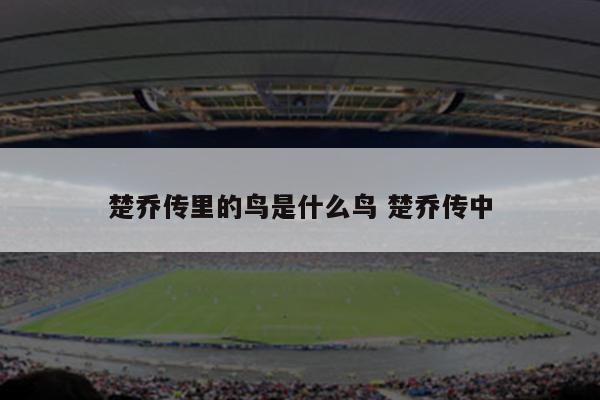 楚乔传里的鸟是什么鸟 楚乔传中
