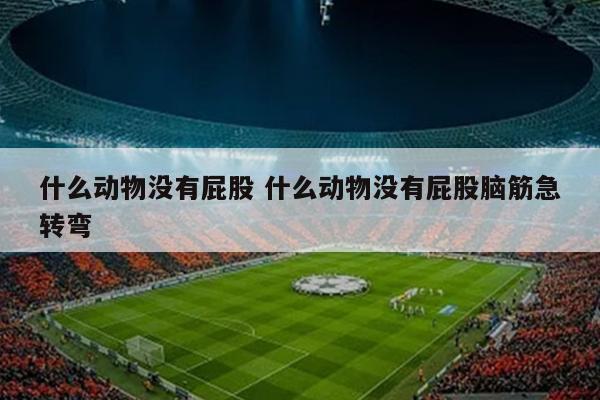 什么动物没有屁股 什么动物没有屁股脑筋急转弯
