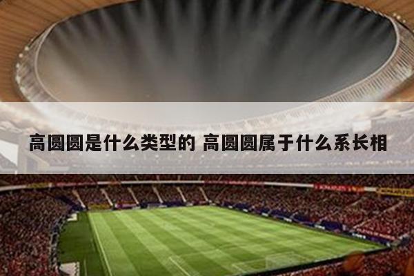 高圆圆是什么类型的 高圆圆属于什么系长相
