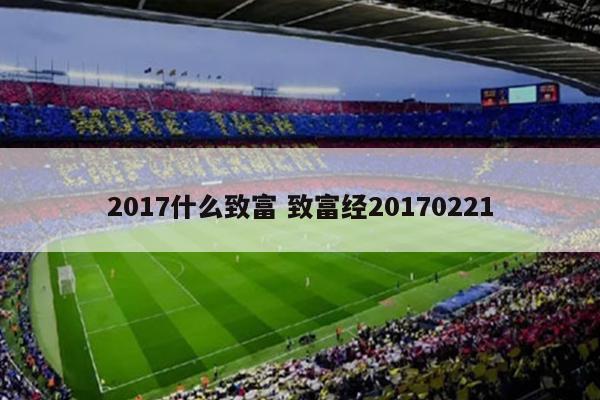 2017什么致富 致富经20170221