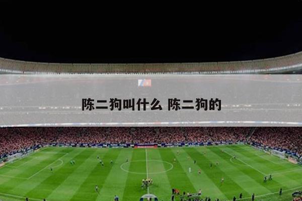 陈二狗叫什么 陈二狗的