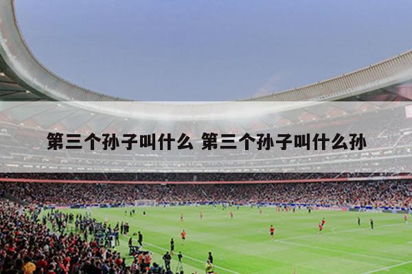 第三个孙子叫什么 第三个孙子叫什么孙
