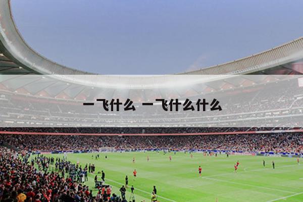 一飞什么 一飞什么什么