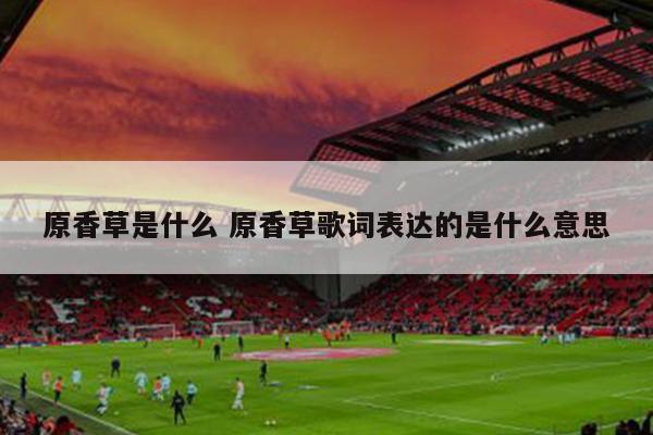 原香草是什么 原香草歌词表达的是什么意思