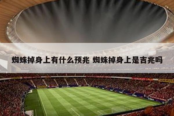 蜘蛛掉身上有什么预兆 蜘蛛掉身上是吉兆吗
