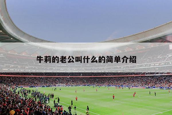 牛莉的老公叫什么的简单介绍