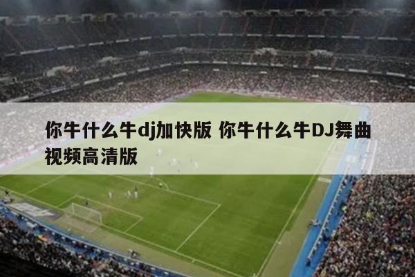你牛什么牛dj加快版 你牛什么牛DJ舞曲视频高清版