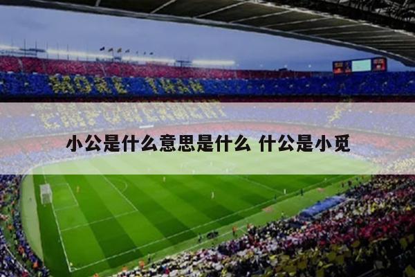 小公是什么意思是什么 什公是小觅