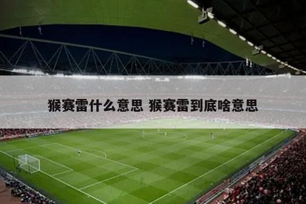 猴赛雷什么意思 猴赛雷到底啥意思