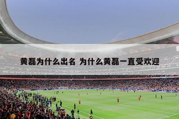 黄磊为什么出名 为什么黄磊一直受欢迎