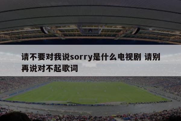 请不要对我说sorry是什么电视剧 请别再说对不起歌词