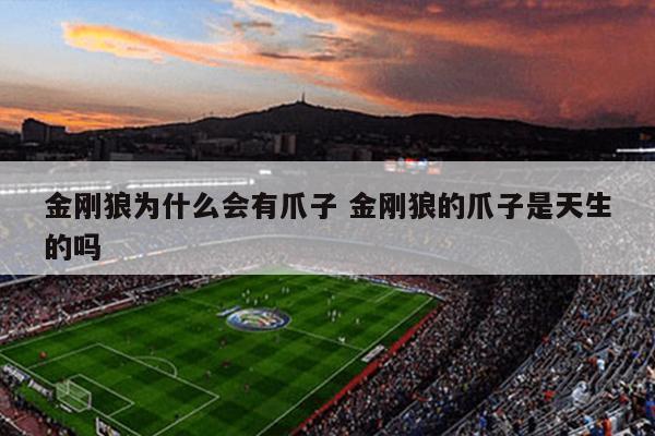 金刚狼为什么会有爪子 金刚狼的爪子是天生的吗
