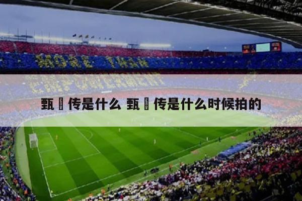 甄嬛传是什么 甄嬛传是什么时候拍的