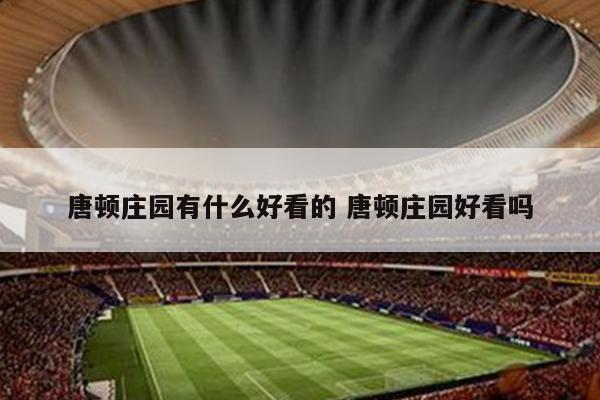 唐顿庄园有什么好看的 唐顿庄园好看吗