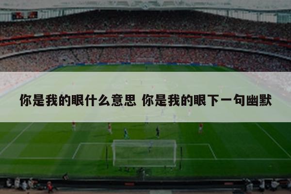 你是我的眼什么意思 你是我的眼下一句幽默