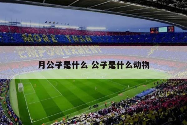 月公子是什么 公子是什么动物