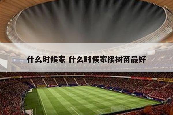 什么时候家 什么时候家接树苗最好