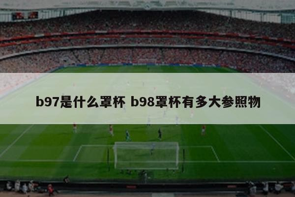 b97是什么罩杯 b98罩杯有多大参照物