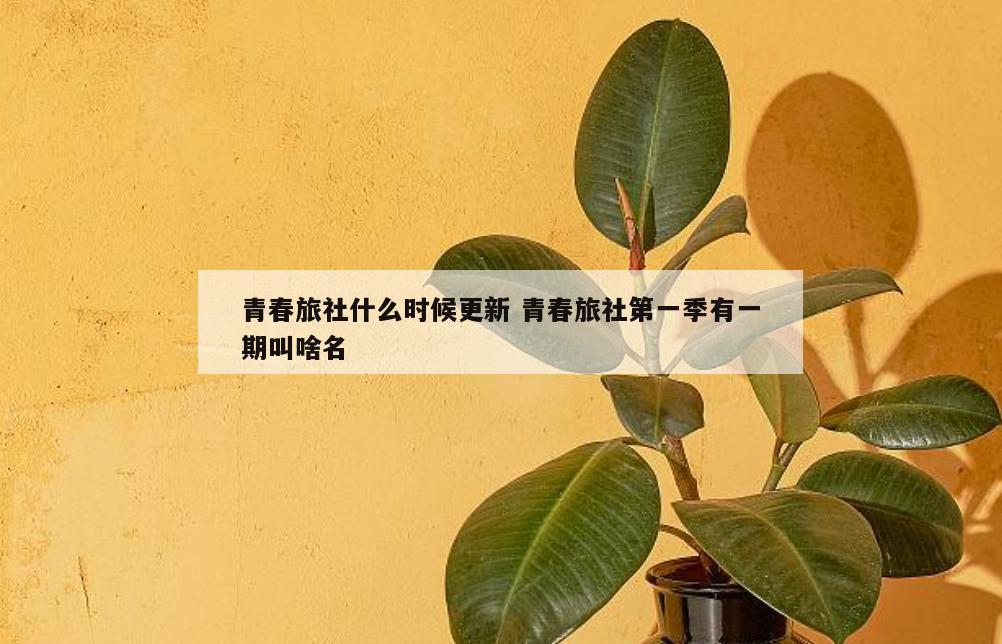 青春旅社什么时候更新 青春旅社第一季有一期叫啥名