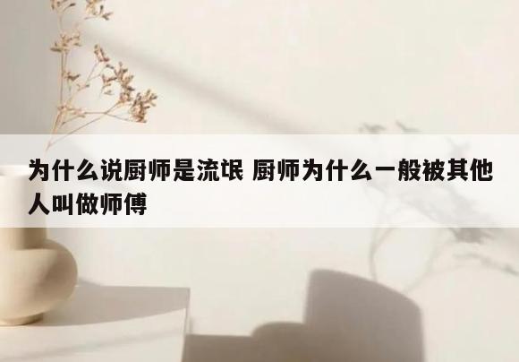 为什么说厨师是流氓 厨师为什么一般被其他人叫做师傅