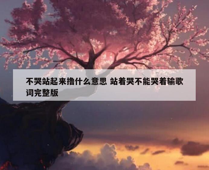 不哭站起来撸什么意思 站着哭不能哭着输歌词完整版