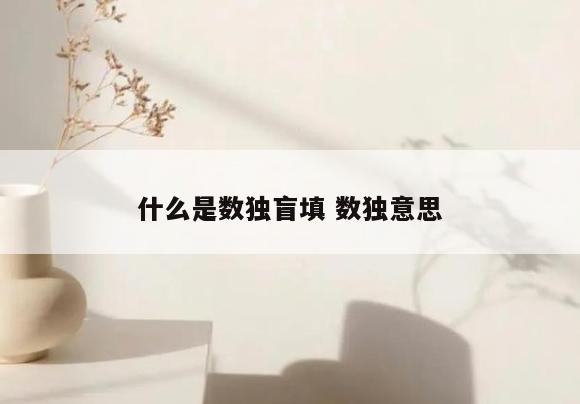 什么是数独盲填 数独意思