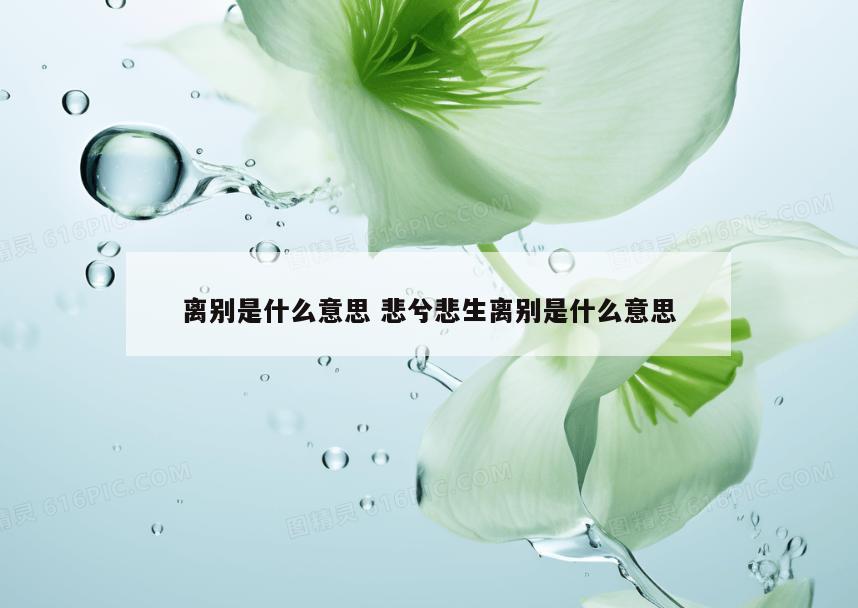 离别是什么意思 悲兮悲生离别是什么意思