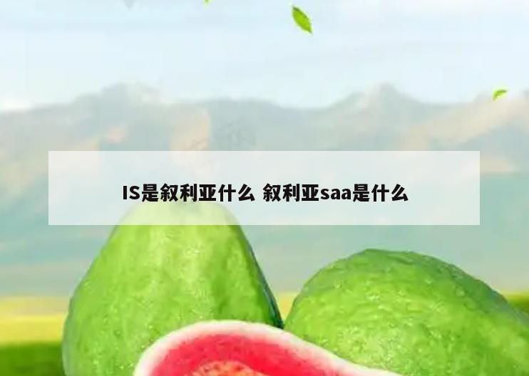 IS是叙利亚什么 叙利亚saa是什么
