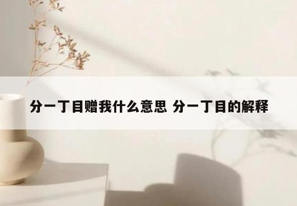 分一丁目赠我什么意思 分一丁目的解释
