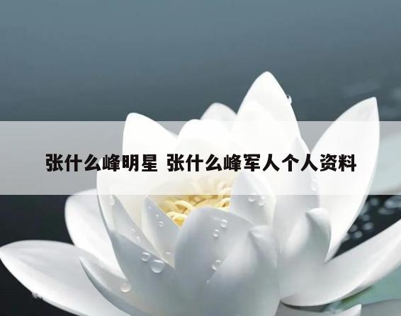 张什么峰明星 张什么峰军人个人资料