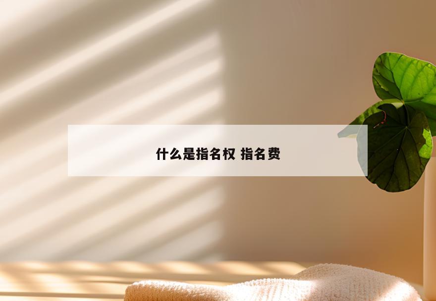 什么是指名权 指名费
