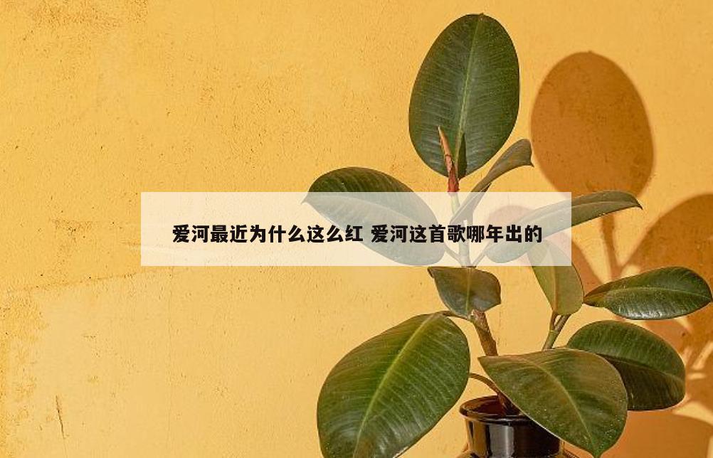 爱河最近为什么这么红 爱河这首歌哪年出的