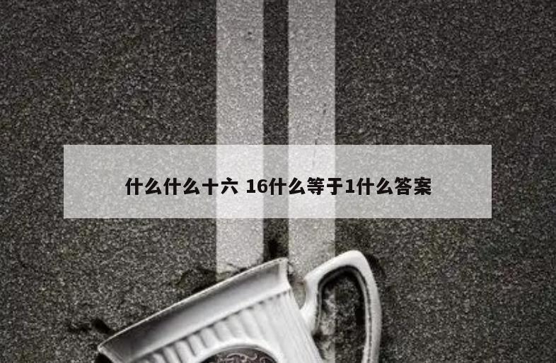 什么什么十六 16什么等于1什么答案