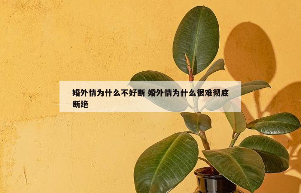 婚外情为什么不好断 婚外情为什么很难彻底断绝