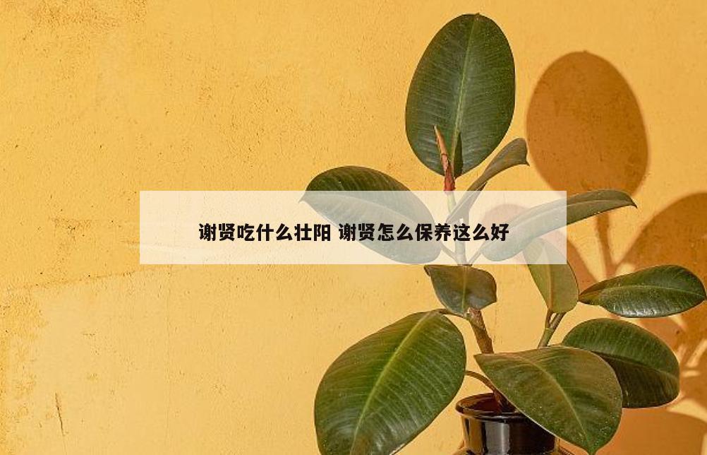 谢贤吃什么壮阳 谢贤怎么保养这么好
