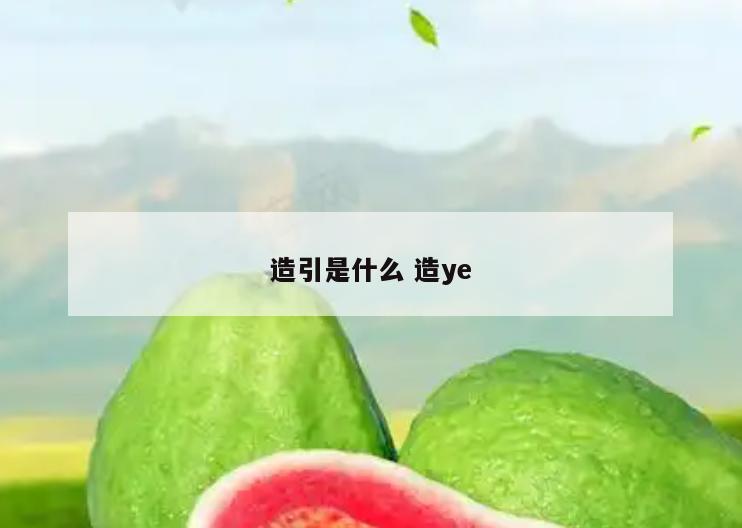 造引是什么 造ye