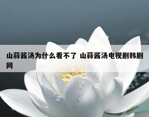 山蒜酱汤为什么看不了 山蒜酱汤电视剧韩剧网
