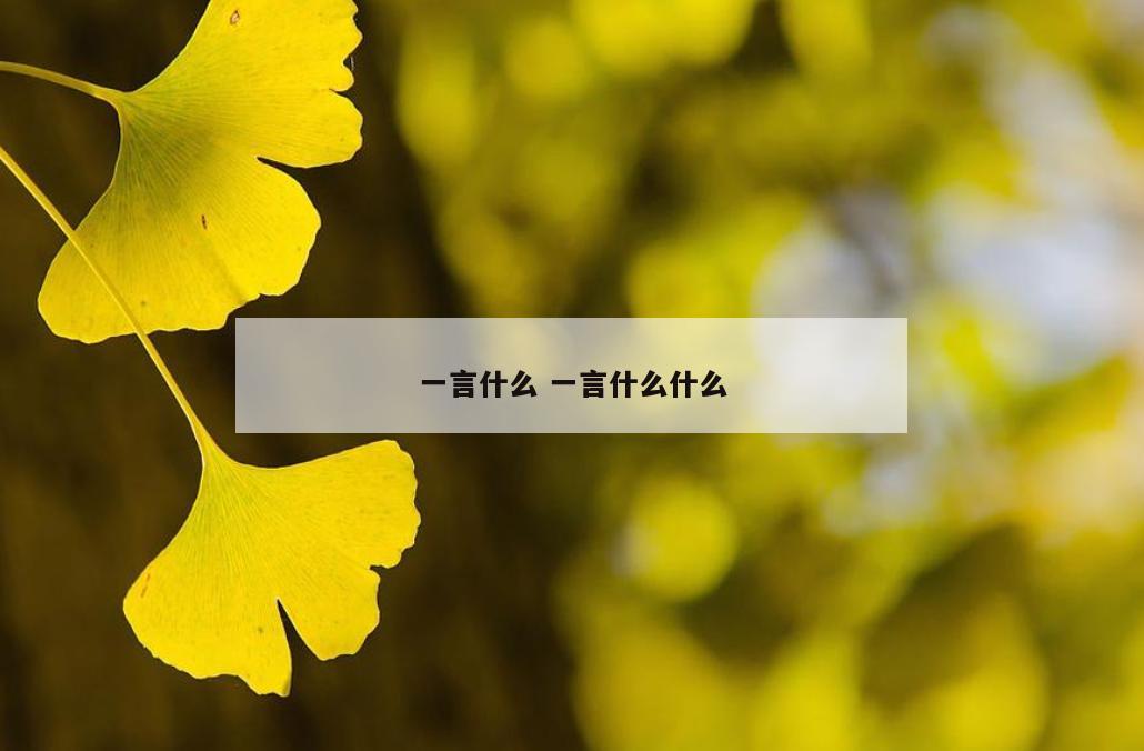 一言什么 一言什么什么
