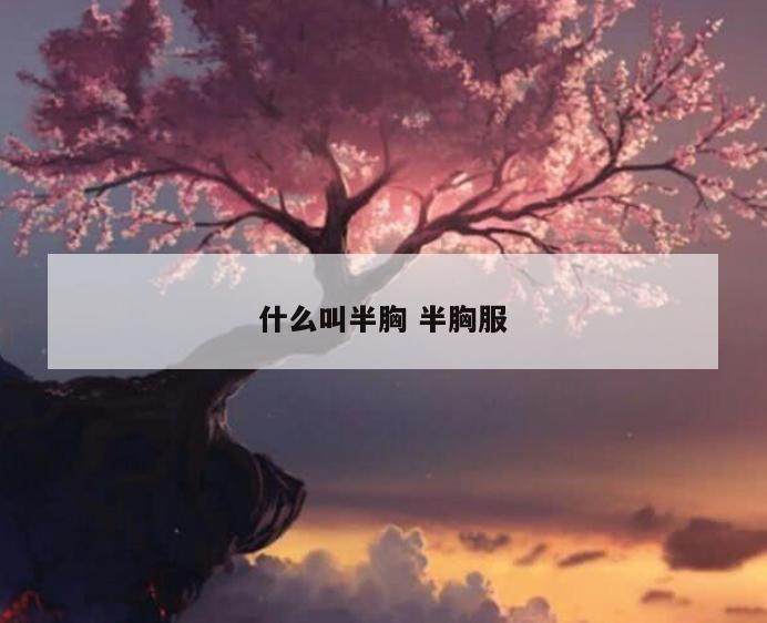 什么叫半胸 半胸服