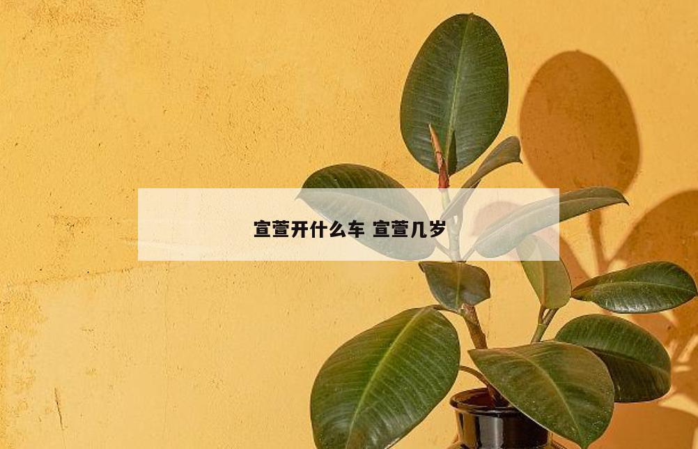 宣萱开什么车 宣萱几岁