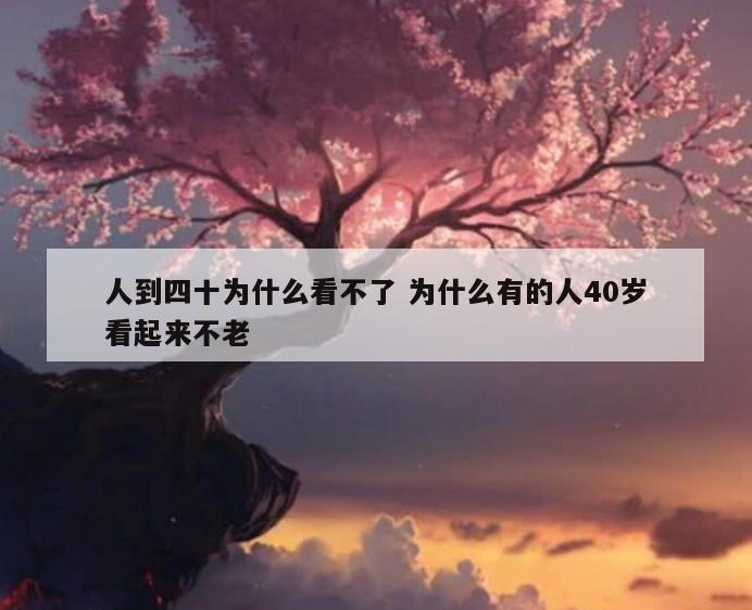 人到四十为什么看不了 为什么有的人40岁看起来不老