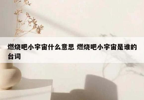 燃烧吧小宇宙什么意思 燃烧吧小宇宙是谁的台词