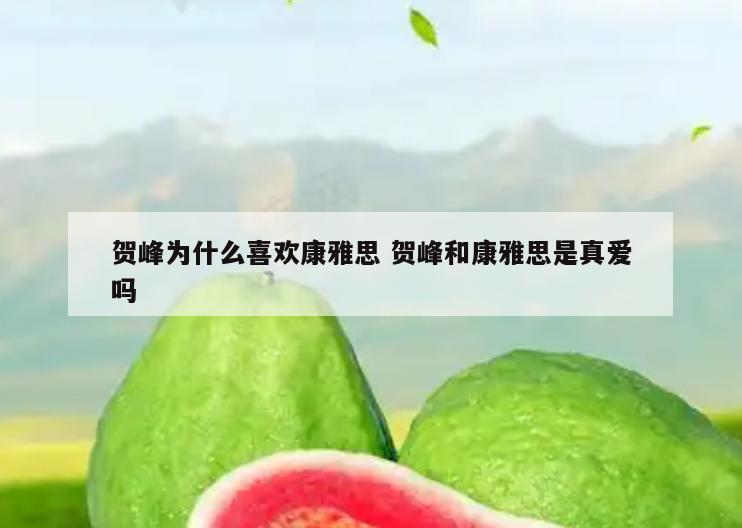 贺峰为什么喜欢康雅思 贺峰和康雅思是真爱吗