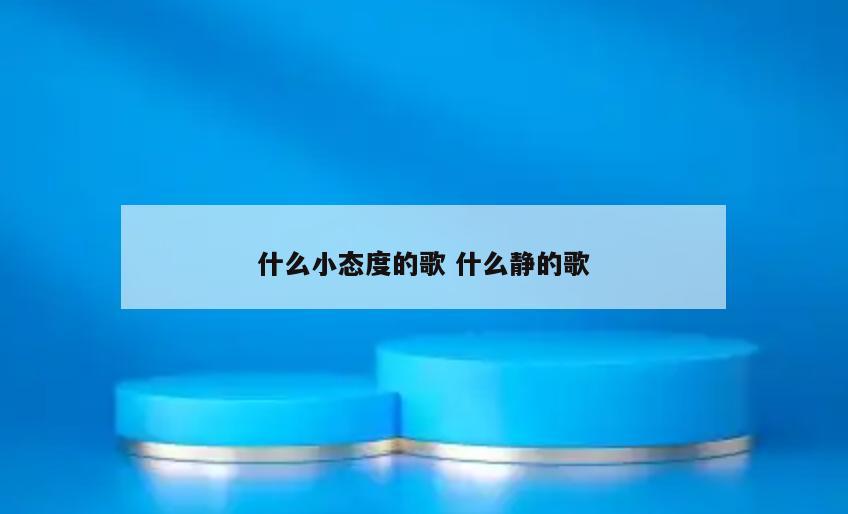 什么小态度的歌 什么静的歌