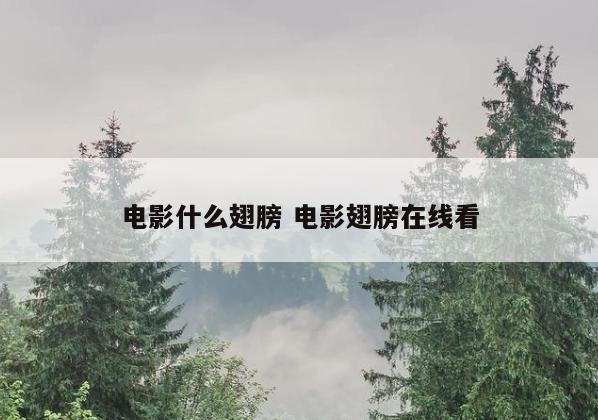 电影什么翅膀 电影翅膀在线看